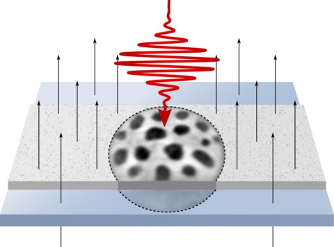 A single laser pulse of appropriate intensity can create random skyrmion patterns with a density defined by an external magnetic field (thin arrows)