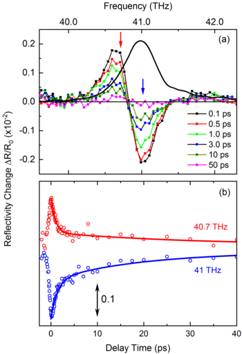 Graphic: Vibrations of a stack of hexagonal boron nitride layers.