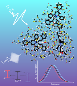 Graphic: Molecular structure of the dye betaine 30 (dark contours) in the solvent dimethyl-sulfoxide (DMSO)