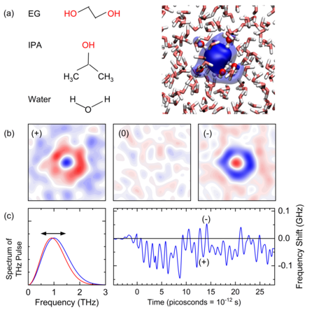 Graphic: Chemical structures of ethylene glycol (EG), isopropyl alcohol (IPA), and water (left), together with a sketch of an electron solvated in water (right).