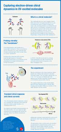 Infographic explaining the scientists' experiment
