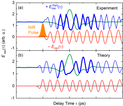 Movie Cartoon of fluctuating alcohol molecules around a solvated electron