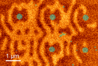 Grafik: kleiner Ausschnitt aus der Grafik orange und grün