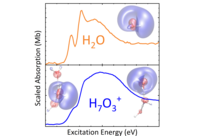 Grafik: Protonenhydratation
