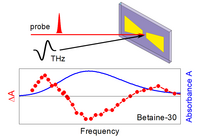 Graphik: Resultate Molekulare Struktuben 