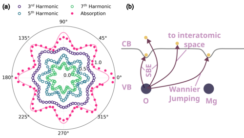 Grafik: Winkelabhängigkeit der detektierten ungeraden Harmonischen und der SWIR Absorption in einem 0.2mm dicken MgO Kristall.