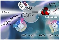 [Translate to German:] 