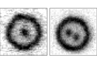 Teaser: Grafik in schwarz und weiss