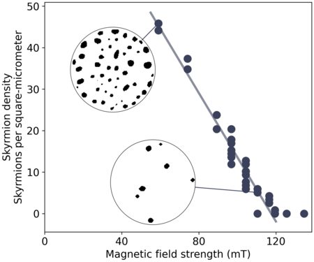 The density of skyrmions as a function of the external magnetic field.