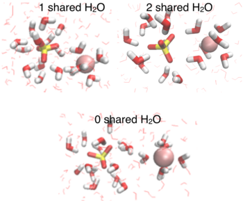 Graphic: Structural representation of Mg2+- SO42- ion pairs in aqueous solution.