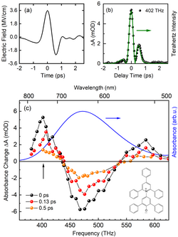 Graphic: Time dependence of the THz electric field with a maximum amplitude of 3.6 MV/cm at the location of the dye molecules
