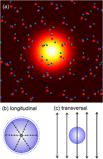 Picture Graphic: Localized electron in polar liquid